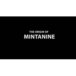 The Origin of MINTANINE